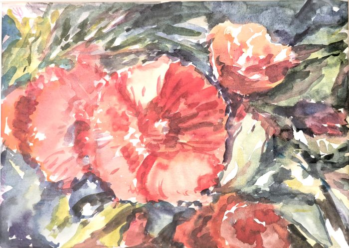 Григорьева Э. «Мальва» Бумага, акварель, 40х30см, 2015г.